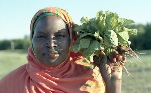 somalifarmerhero