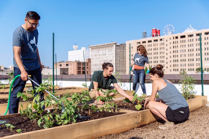 Rooftop Farming – New Wave!