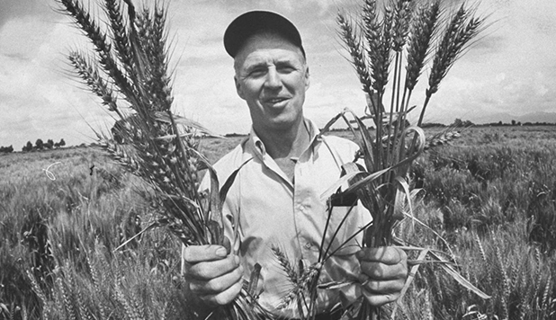 Why Borlaug Makes March 25th a Day to Remember