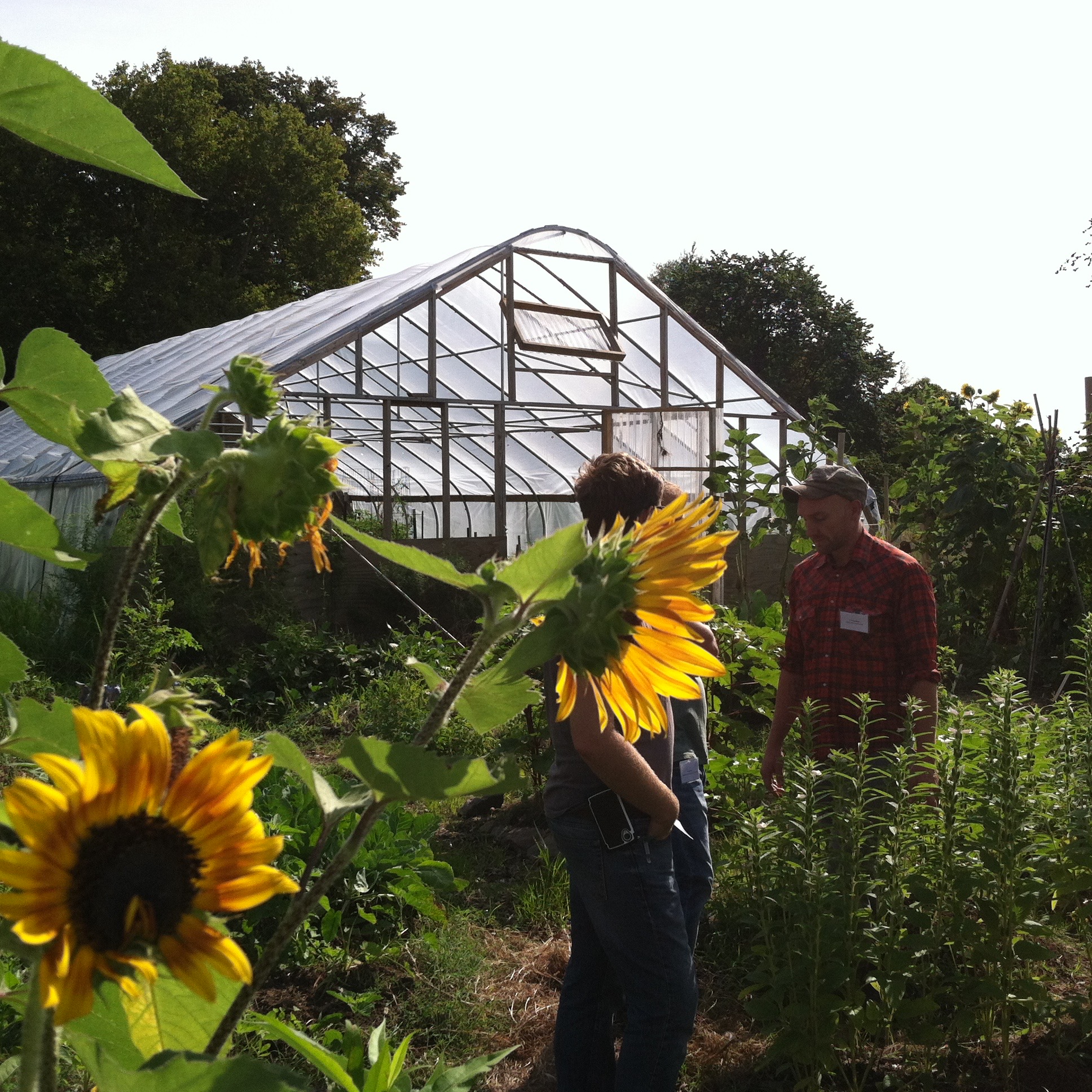 What is Urban Agriculture in Philadelphia?