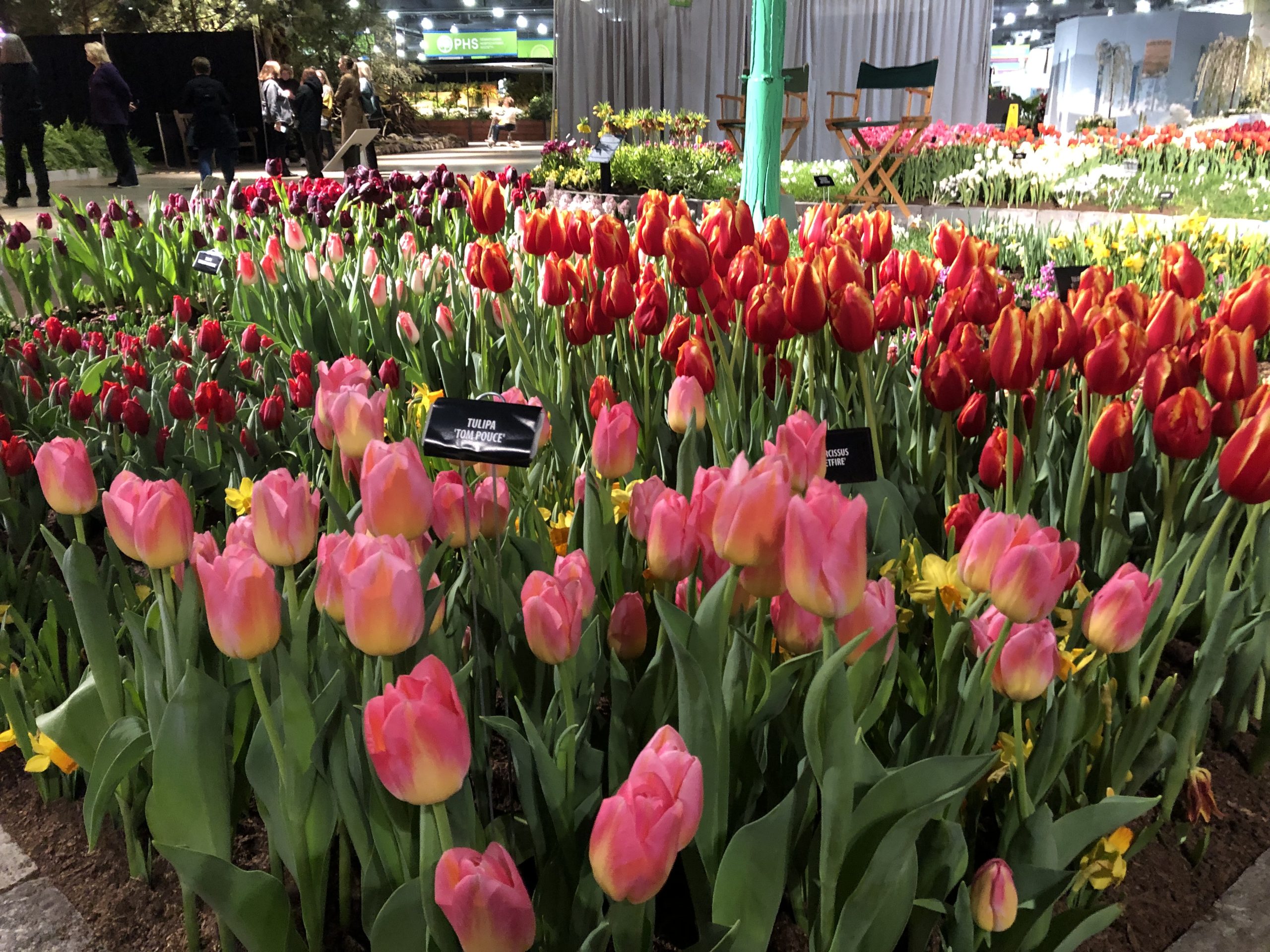 Flower Show Needs Volunteers