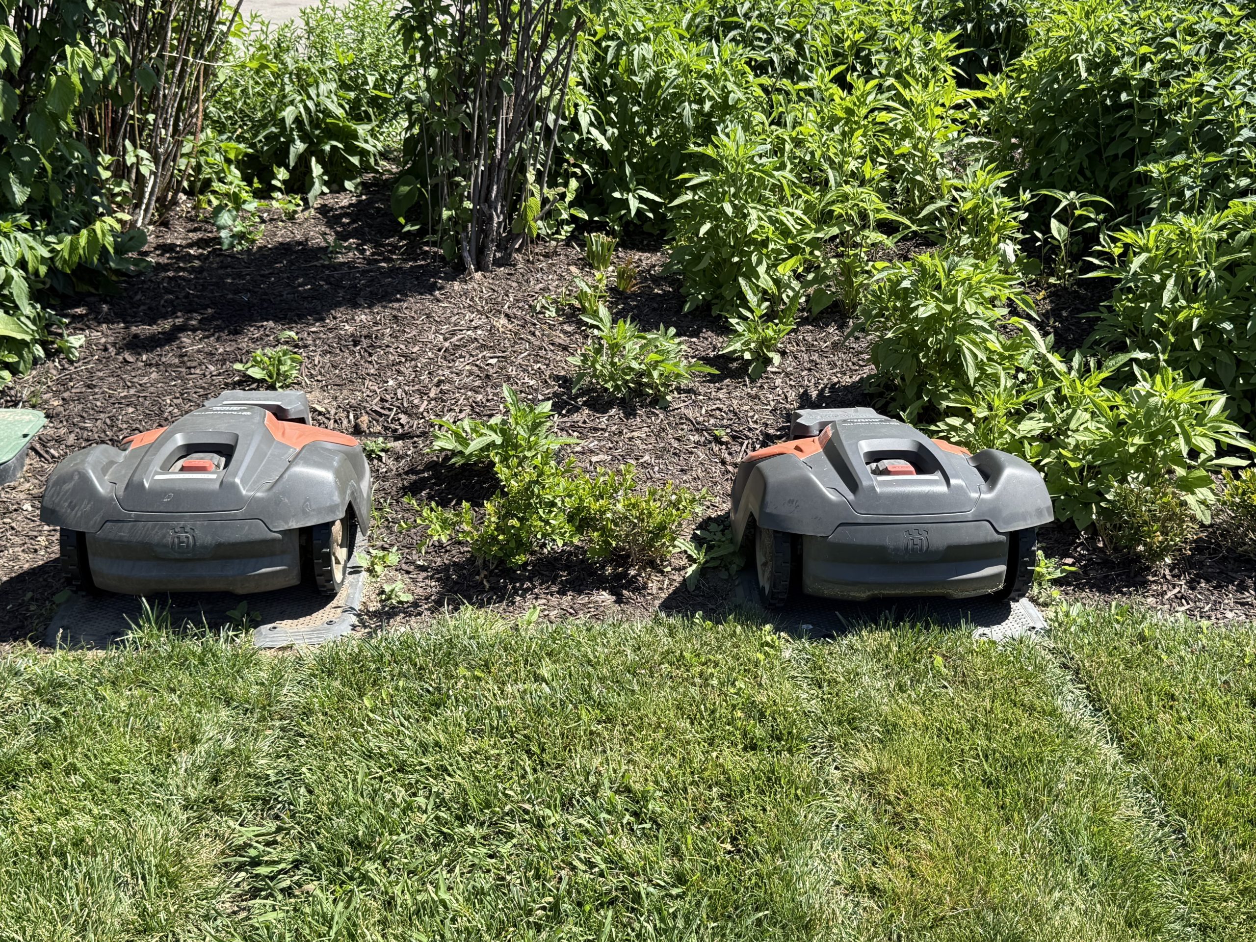 More on “Low-Mowed Meadow”: Philadelphia Cricket Club