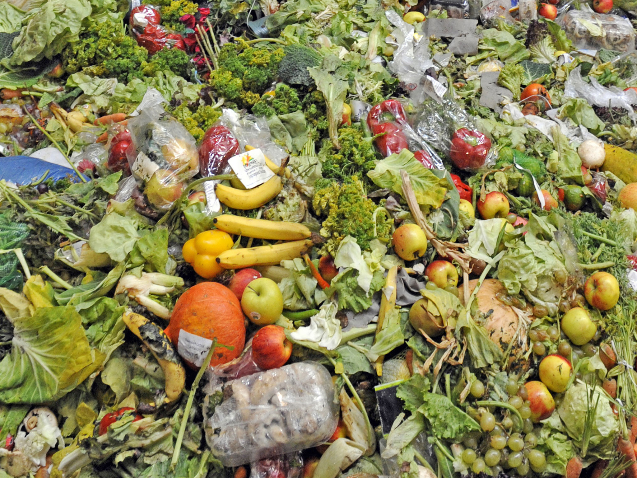 Food Waste Action – France
