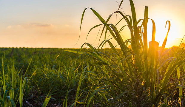 Farming Notes – April 2019