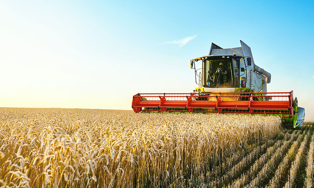 Agri Pulse: Opinion, Hope through agriculture: Now more than Ever