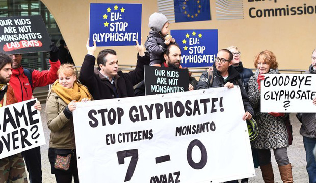 NY Times:  Weedkillers Give Monsanto Trouble in Europe and Arkansas